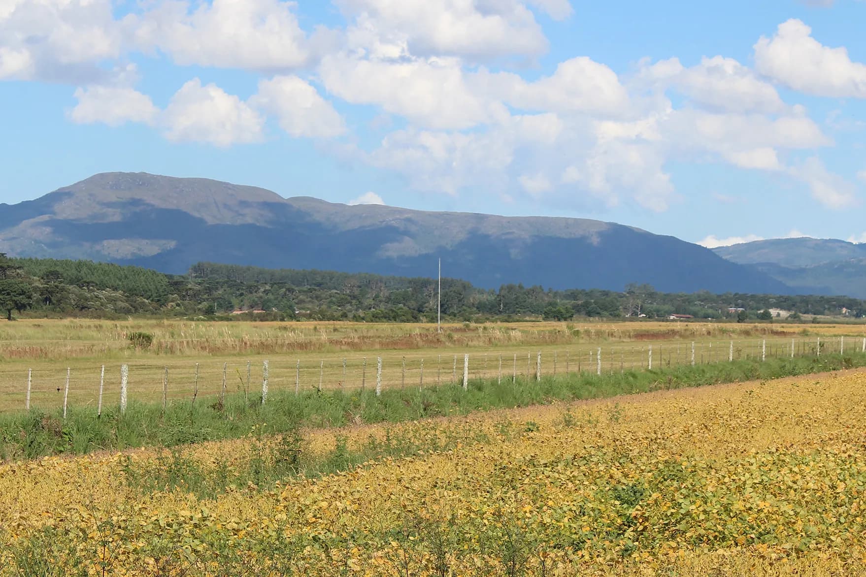 Paisagem e Terras em Curitiba e Região Metropolitana, Litoral do Paraná e Santa Catarina